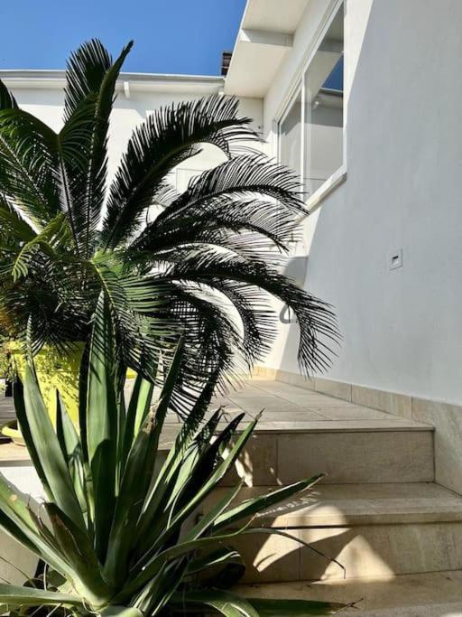 Bed and Breakfast Naples In The History 4M Экстерьер фото